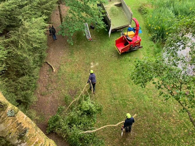 Business listing image