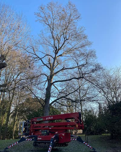 Business listing image