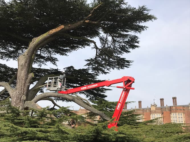 Business listing image