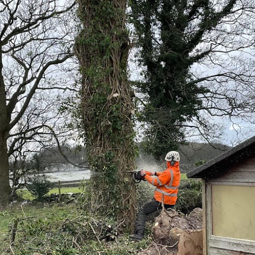 Business listing image