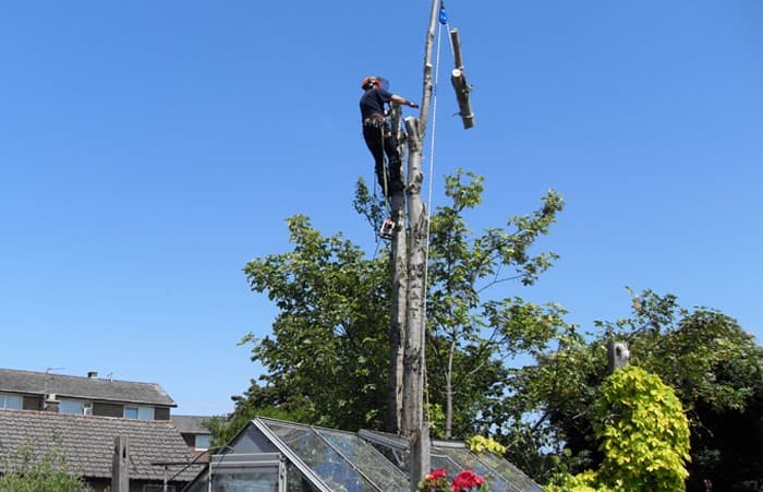 Business listing image