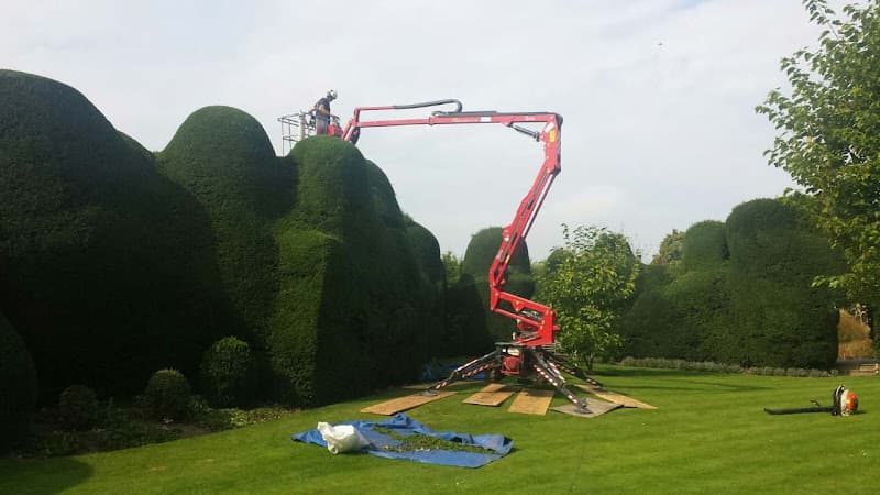 Business listing image