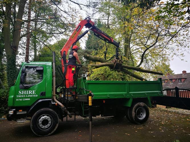 Business listing image