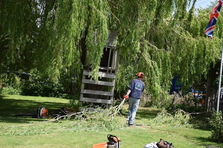 Business listing image