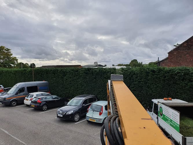 Business listing image