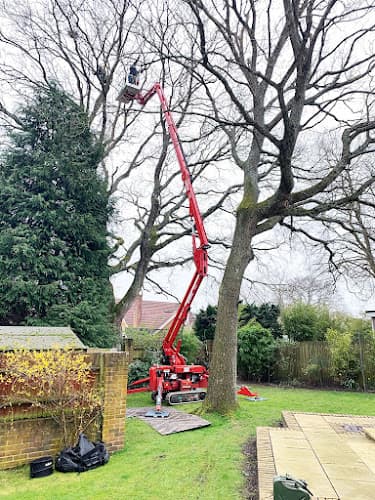 Business listing image