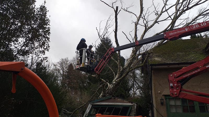 Business listing image