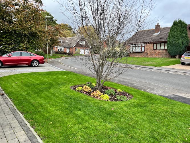 Business listing image