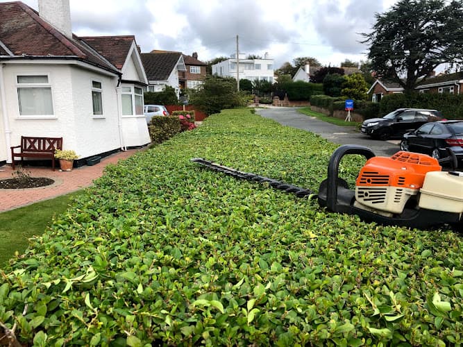 Business listing image