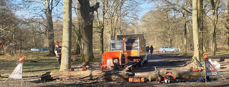 Business listing image