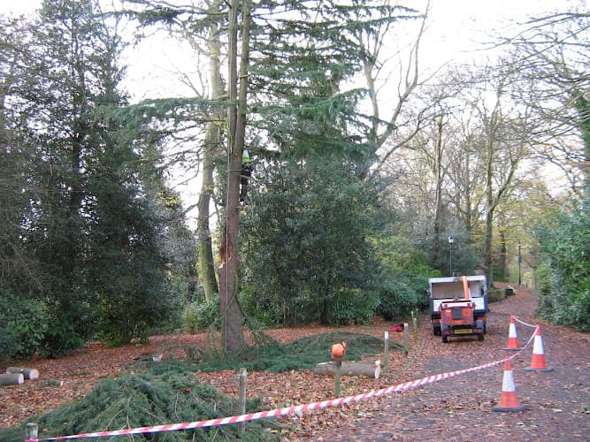 Business listing image