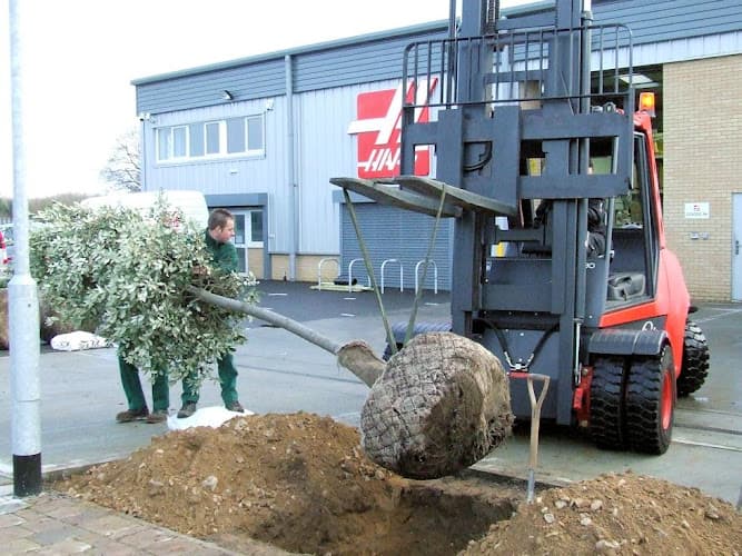 Business listing image