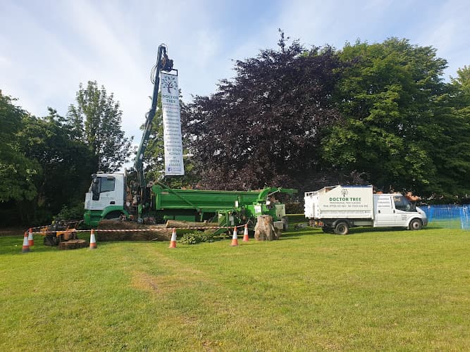 Business listing image