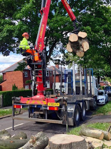 Business listing image