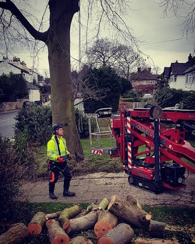 Business listing image