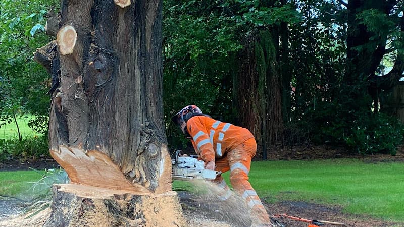 Business listing image