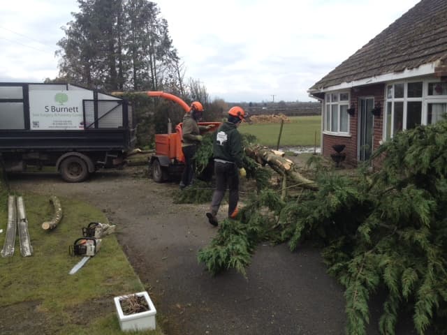 Business listing image