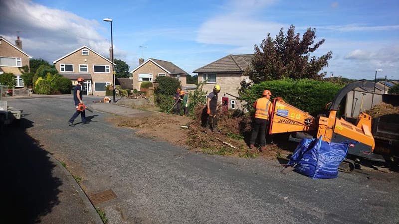 Business listing image