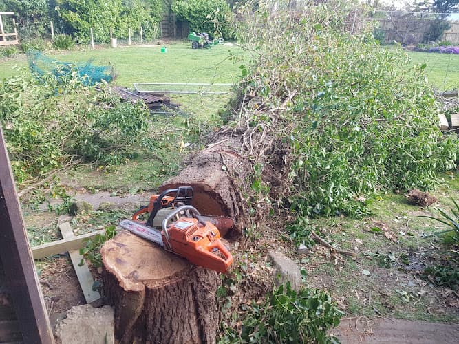 Business listing image