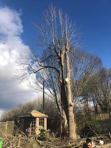 Business listing image