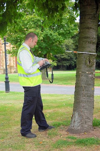 Business listing image