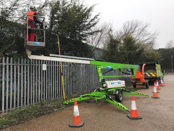 Business listing image