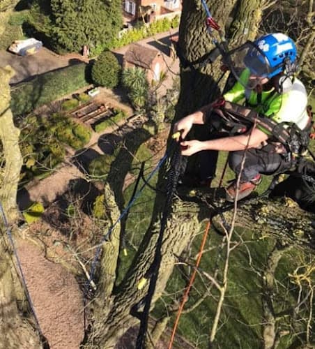 Business listing image