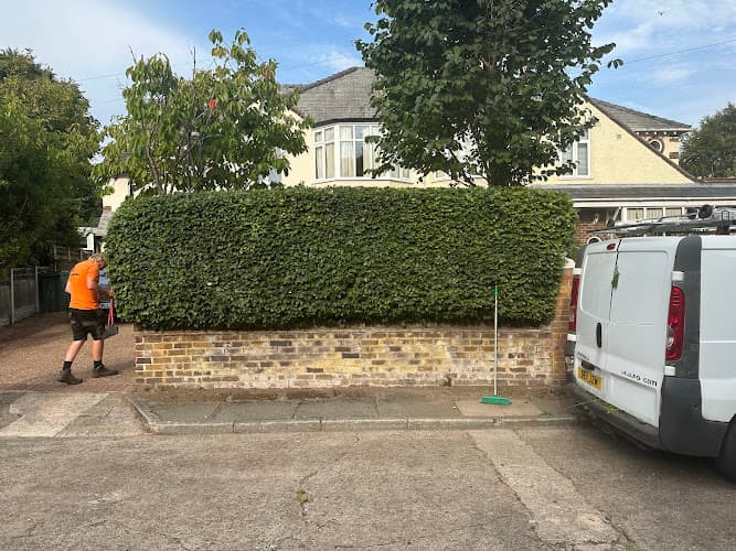 Business listing image