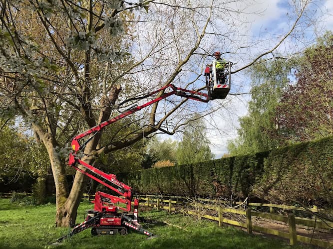 Business listing image