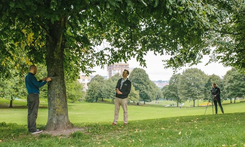 Business listing image