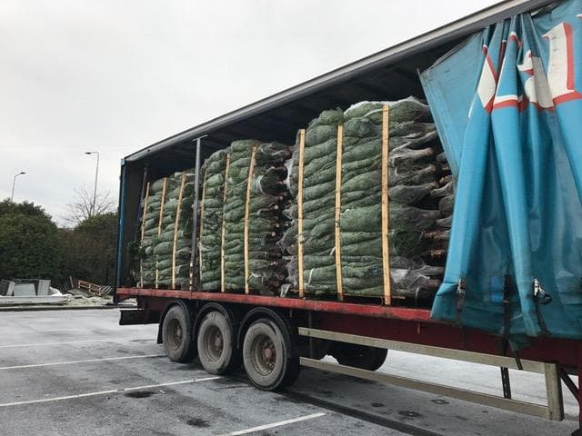 Business listing image