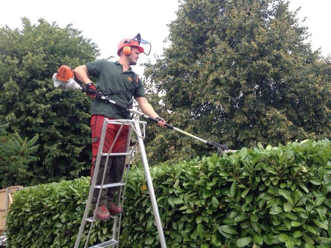 Business listing image