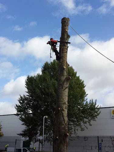 Business listing image