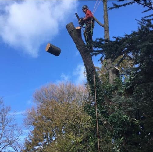 Business listing image