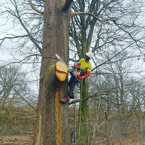 Business listing image