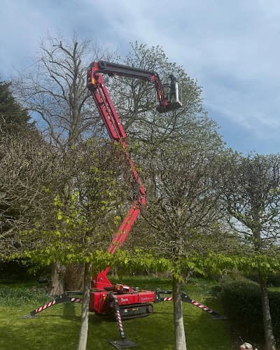 Business listing image