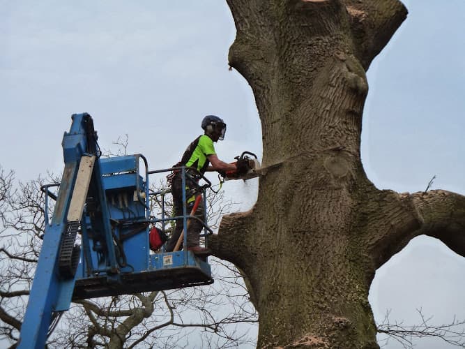 Business listing image