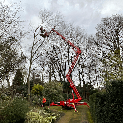 Business listing image