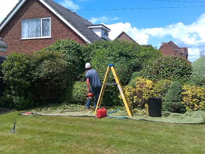 Business listing image