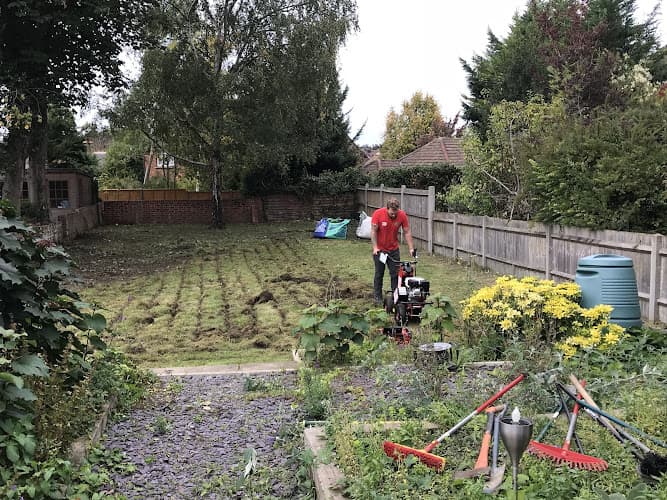 Business listing image