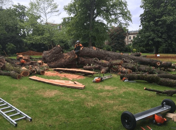 Business listing image