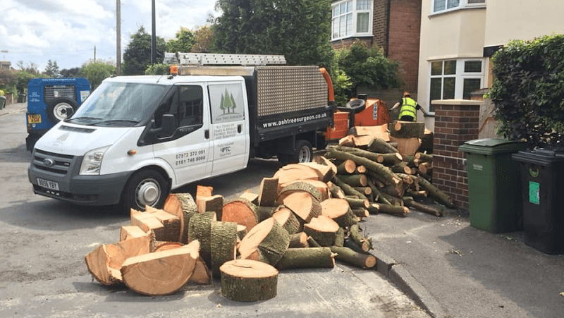 Business listing image