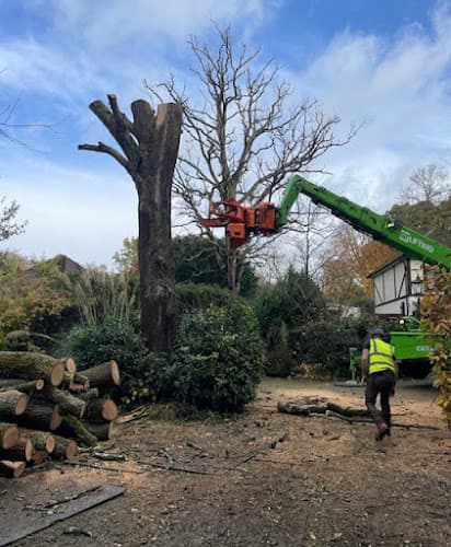 Business listing image