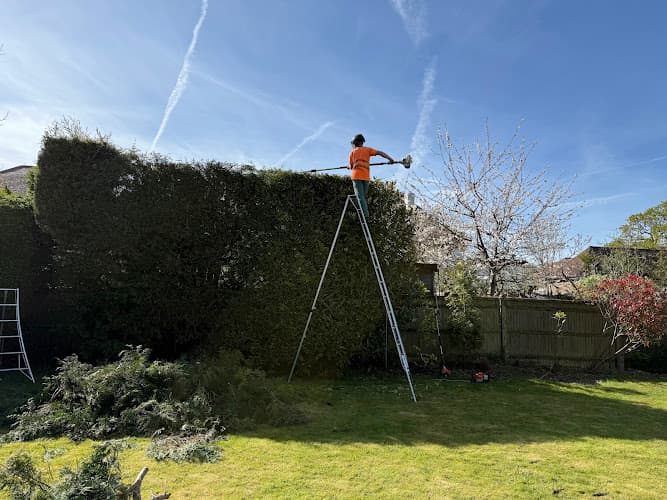 Business listing image