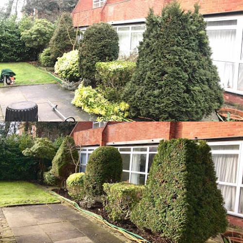 Business listing image