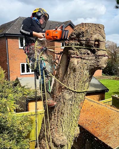 Business listing image