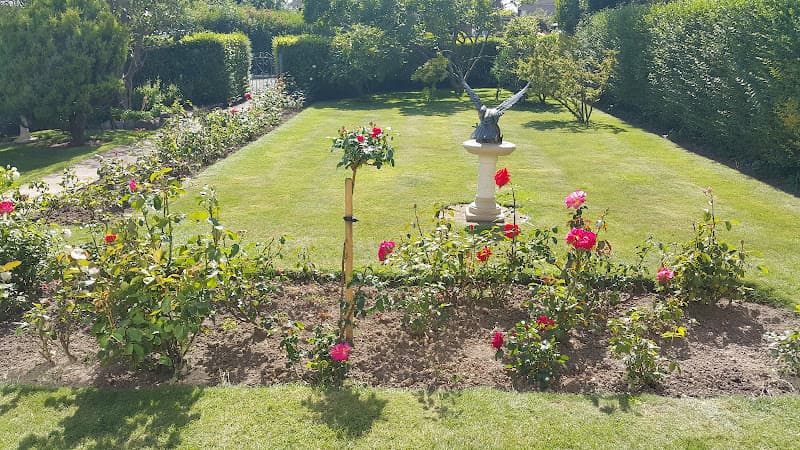 Business listing image