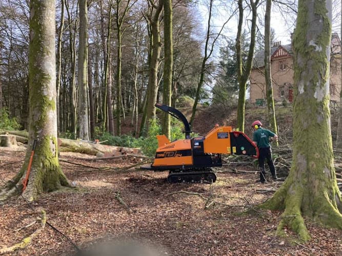 Business listing image