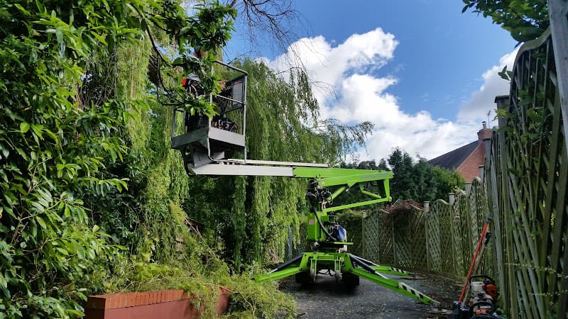 Business listing image