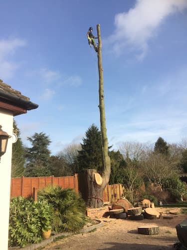 Business listing image